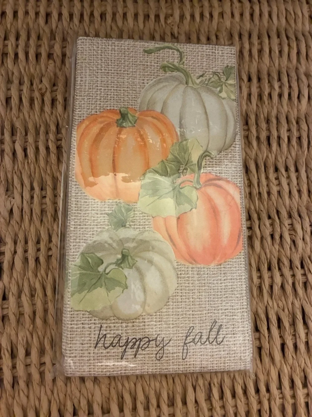 Mud Pie Fall Pumpkin Guest Napkins in Orange, Green, Cream